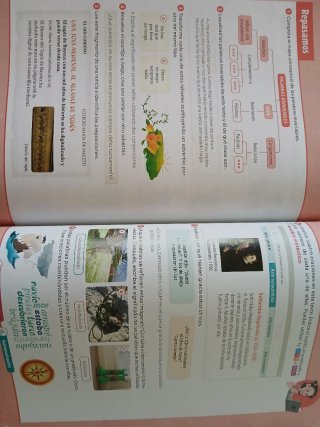 Lengua castellana y Literatura. 5 Primaria. Revola