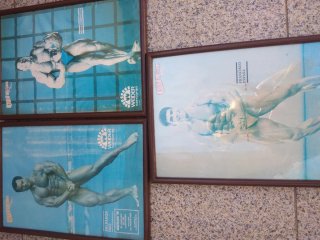3 Quadros Culturismo Weider