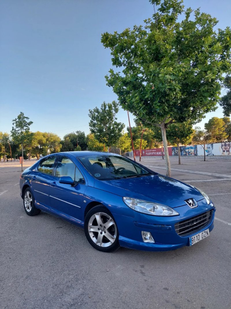 Peugeot 407 2006 - foto 1