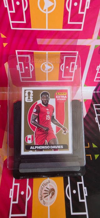 Cromos Panini Extra Sticker Oro Mundial