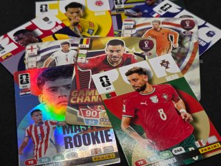 Lote 89 cromos selecciones