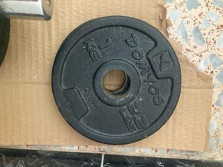 Manubri con dischi da circa 12 kg