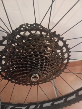 Ruote Fulcrum MTB