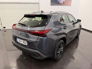 Lexus UX 300H +