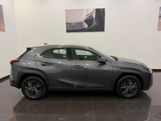 Lexus UX 300H +