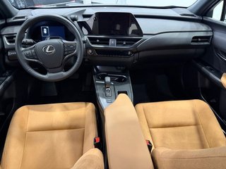 Lexus UX 300H +