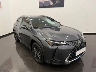Lexus UX 300H +