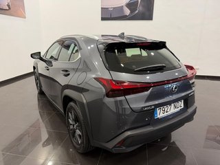 Lexus UX 300H +