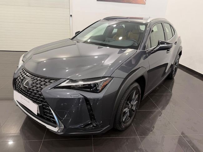 Lexus UX 300H + - foto 1