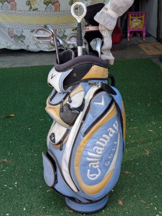 Set Golf Vintage Premium - Ferri PING EYE2 + Legni