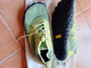Zapatillas Saguaro unisex talla 38