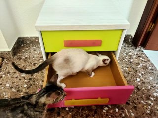 Cajonera pequeña 2 cajones