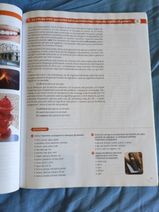 LLENGUA CATALANA I LITERATURA 1 BTX CONSTRUINT ...