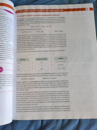 LLENGUA CATALANA I LITERATURA 1 BTX CONSTRUINT ...