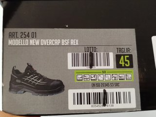 Zapatos Seguridad SIR Overcap BSF Rex