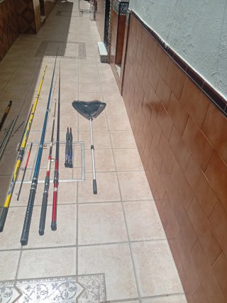 Lote de cañas de pesca y red