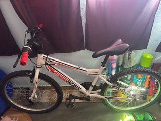 Bicicleta Aro 24 Freerider