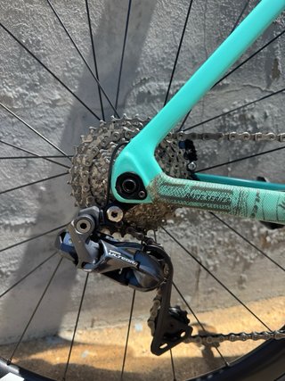 Megamo Pulse Elite 05 2021