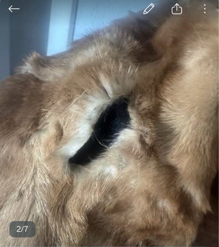 Cappotto di pelliccia marrone