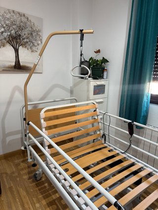 Cama Hospitalaria Articulada