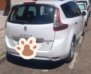 Renault Grand Scenic 2010