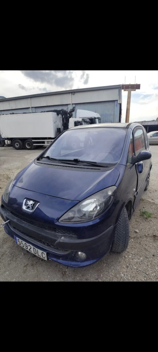 Peugeot 1007 2005 - foto 1