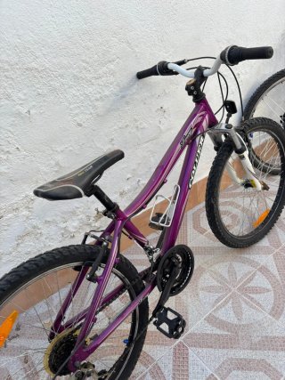 Bicicleta Fuji Roja Seminueva