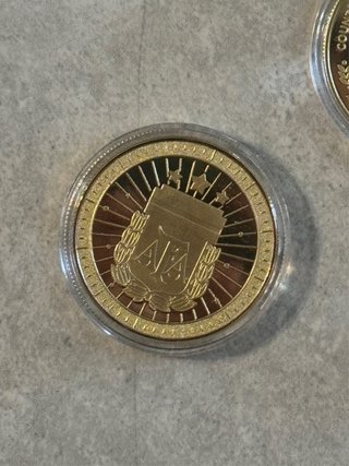 Moneda Dorada AFA Selección Argentina