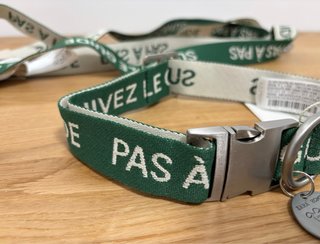 Collar y Correa Perro Zara Home