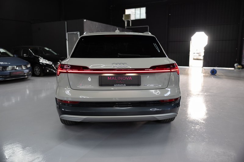 Audi e-tron 50 quattro Advanced 2020, foto 6