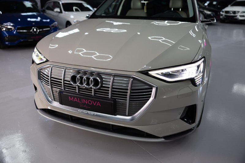 Audi e-tron 50 quattro Advanced 2020, foto 10