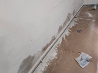 Pintor profesional económico