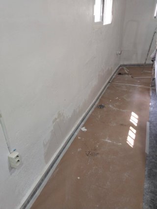 Pintor profesional económico