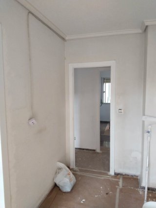 Pintor profesional económico