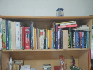 Lote de libros, diccionarios...