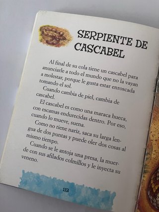 Adivinanzas para antes de dormir de animales