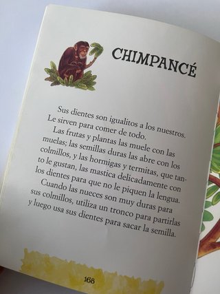 Adivinanzas para antes de dormir de animales