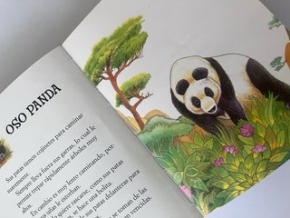 Adivinanzas para antes de dormir de animales