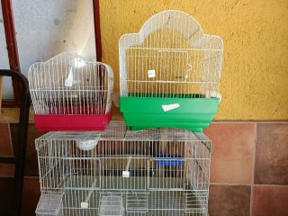 Jaulas para canarios y pajaritos