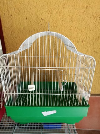 Jaulas para canarios y pajaritos
