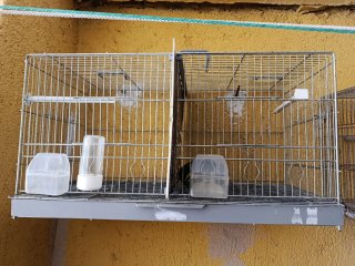 Jaulas para canarios y pajaritos