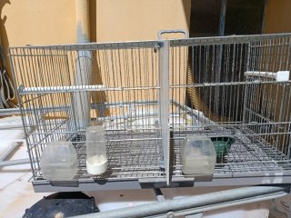 Jaulas para canarios y pajaritos