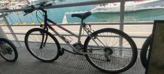 SCOTT PEAK LADY - Qualità, comfort e pronta all'uso