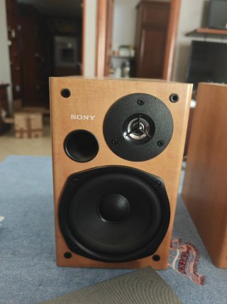 Coppia Casse Sony SS-CP555S (6 Ohm)