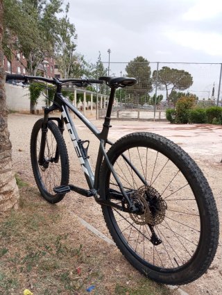 Trek Procaliber 6 2026