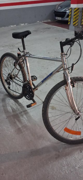 Bicicleta de montaña plateada