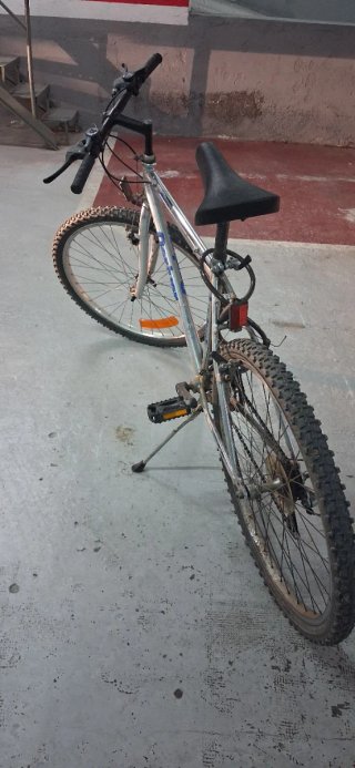 Bicicleta de montaña plateada