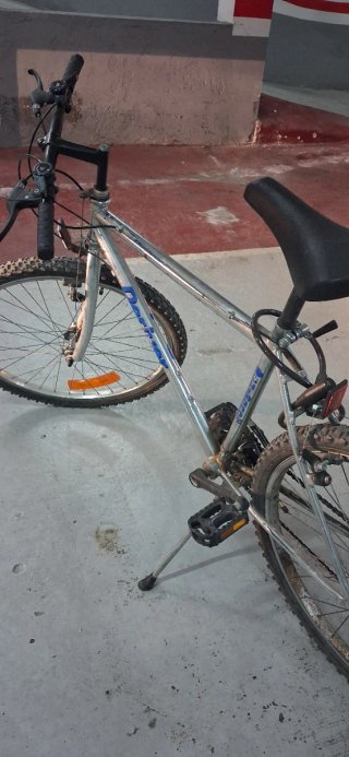 Bicicleta de montaña plateada