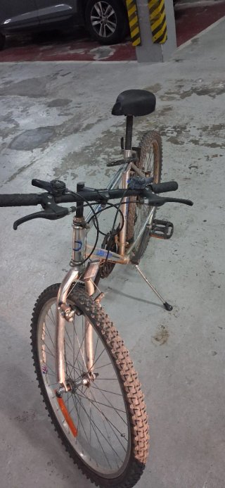 Bicicleta de montaña plateada