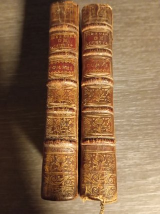 1746 2 tomos Historia de Luis XIV. Reboulet